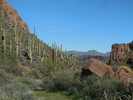 photo thumbnail #9