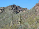 photo thumbnail #10