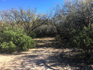 photo thumbnail #6