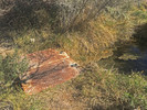 photo thumbnail #7