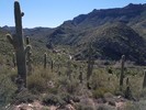 photo thumbnail #7