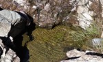photo thumbnail #14