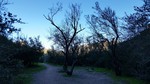 photo thumbnail #15