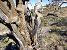 photo thumbnail #14