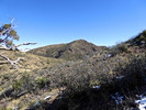 photo thumbnail #15
