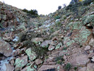 photo thumbnail #4