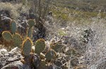 photo thumbnail #6