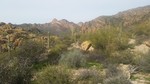 photo thumbnail #4