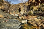 photo thumbnail #2