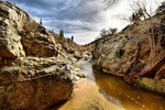 photo thumbnail #3