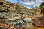 photo thumbnail #6