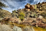 photo thumbnail #8