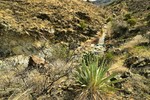 photo thumbnail #9