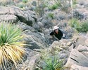 photo thumbnail #8