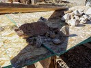 photo thumbnail #15