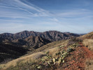 photo thumbnail #4