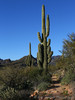 photo thumbnail #1