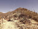 photo thumbnail #6