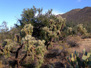 photo thumbnail #12