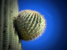 photo thumbnail #10