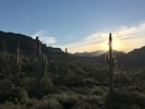 photo thumbnail #1