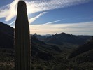 photo thumbnail #4