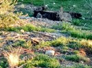 photo thumbnail #7