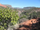 photo thumbnail #6