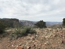 photo thumbnail #5