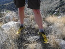 photo thumbnail #14
