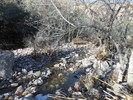 photo thumbnail #3