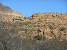 photo thumbnail #4