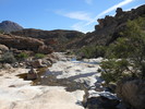 photo thumbnail #14