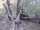 photo thumbnail #10