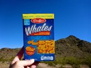 photo thumbnail #2