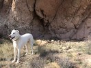 photo thumbnail #3