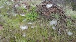 photo thumbnail #12