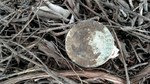 photo thumbnail #14