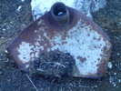 photo thumbnail #2