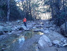 photo thumbnail #6