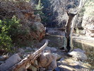 photo thumbnail #9