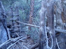 photo thumbnail #10