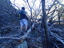 photo thumbnail #12