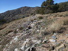 photo thumbnail #14