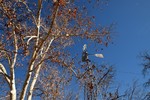 photo thumbnail #3