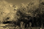 photo thumbnail #8