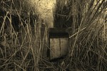 photo thumbnail #10