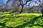 photo thumbnail #13