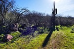 photo thumbnail #15