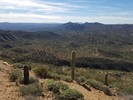 photo thumbnail #9